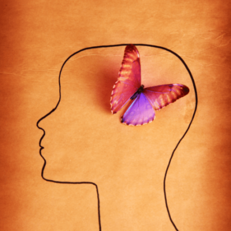 Image of a black outline of a person's head thinking with a purple and pink butterfly